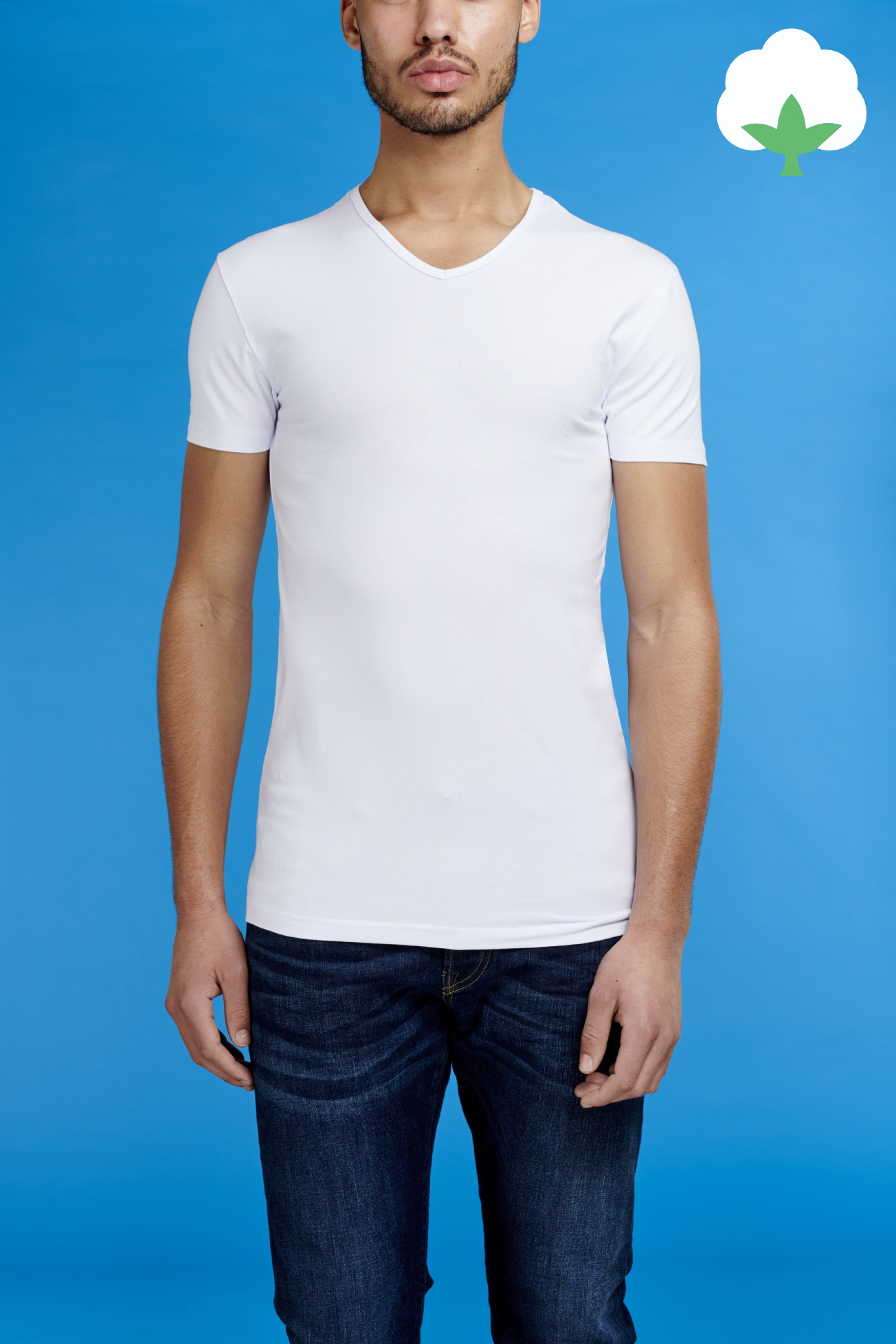Bio-cotton Body Fit V-Neck (#0222)